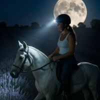 Gemini_Generated_Image_ey33z2ey33z2ey33 Gemini_Generated_Image_ey33z2ey33z2ey33